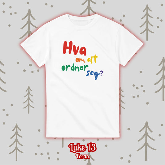 13 - Hva om alt ordner seg? (tenk på det du)