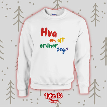 13 - Hva om alt ordner seg?